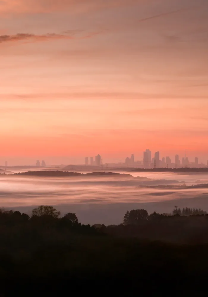 Naturalist Verde Proje Fotoğrafları