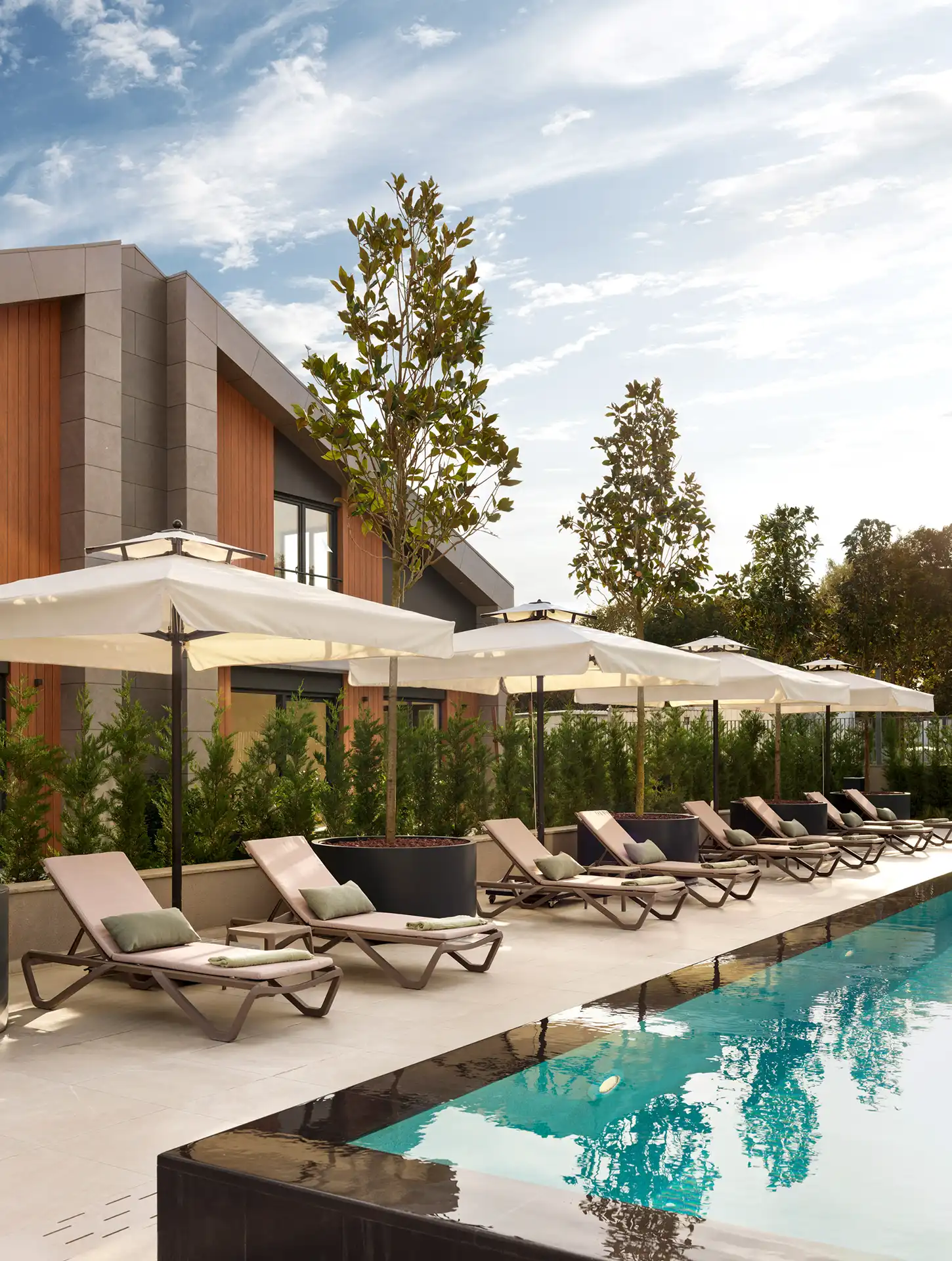 Naturalist Verde Proje Fotoğrafları